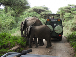 Lake Manyara National Park