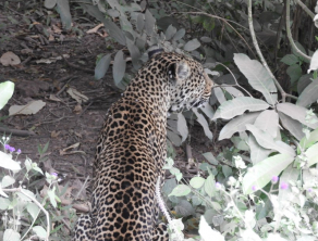 Lake Manyara National Park