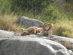 Serengeti National Park