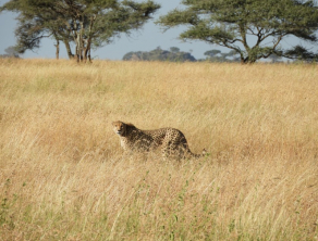 Serengeti National Park