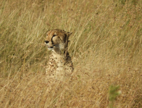 Serengeti National Park